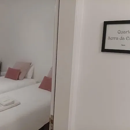 Apartment My Dream Alcains